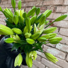 Лилии белые